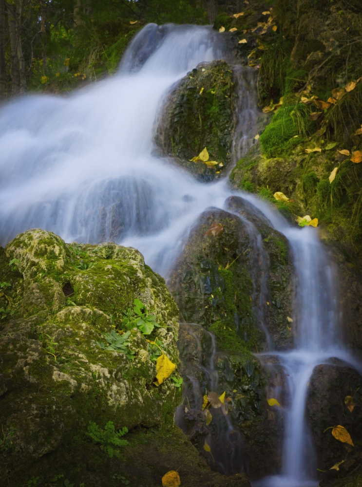 Alberta - Canada - A Waterfall Over Moss Covered Rocks Poster Print
