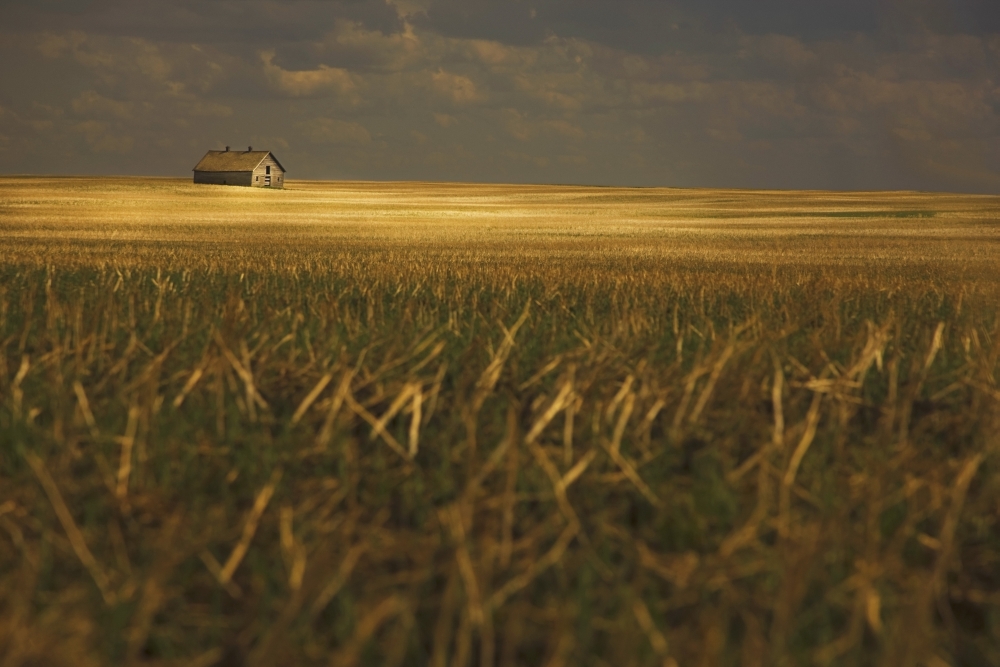 Tofield, Alberta, Canada - An Old Barn In A Field Poster Print, 19 x 12