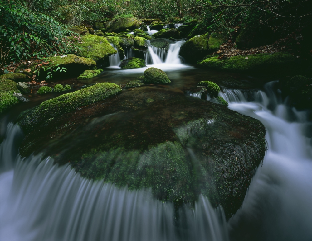 Tennessee, United States of America - Moss & Curved Cascade In The Roaring Fork River In Great Smoky Mountains National Park Poster Print, 17 x 13