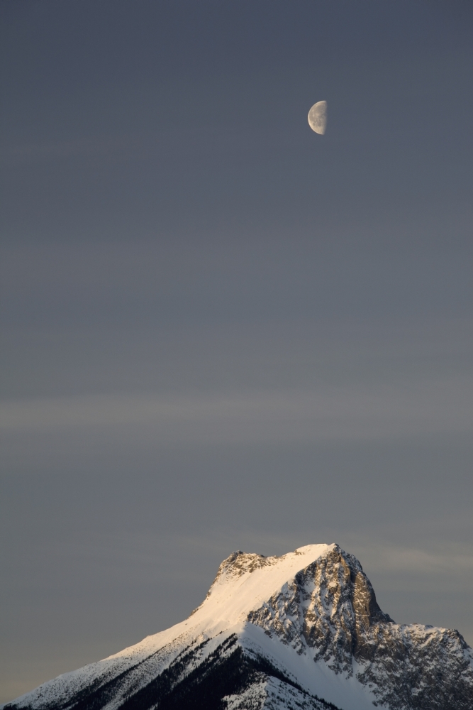 Alberta - Canada - Snow Covered Mountain Peak & Half Moon At Sunrise In Kananaskis Country Poster Print