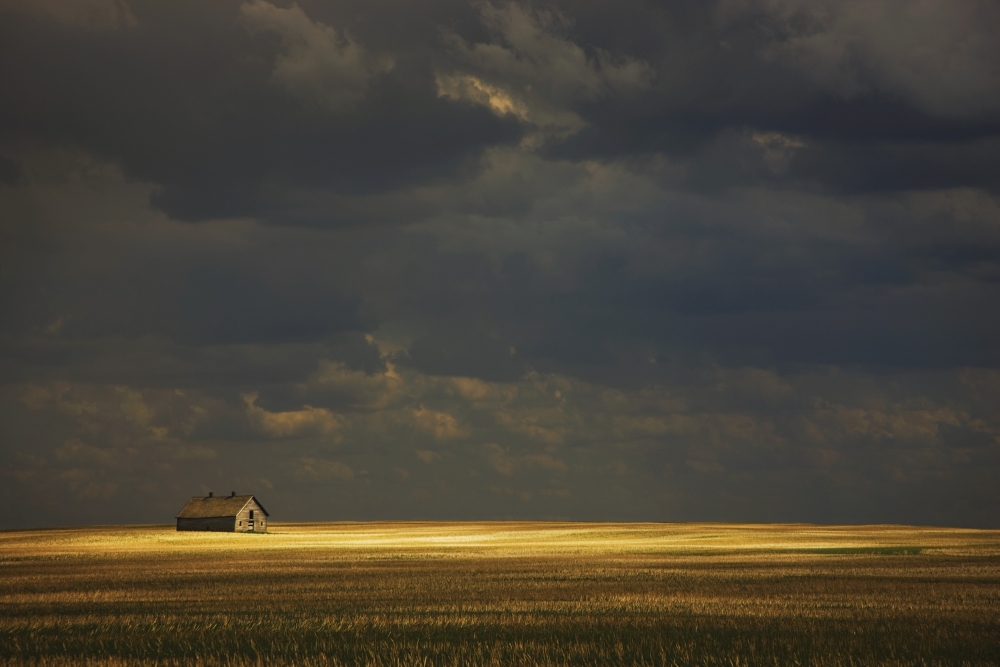 Tofield, Alberta, Canada - An Old Barn In A Field Poster Print, 19 x 12