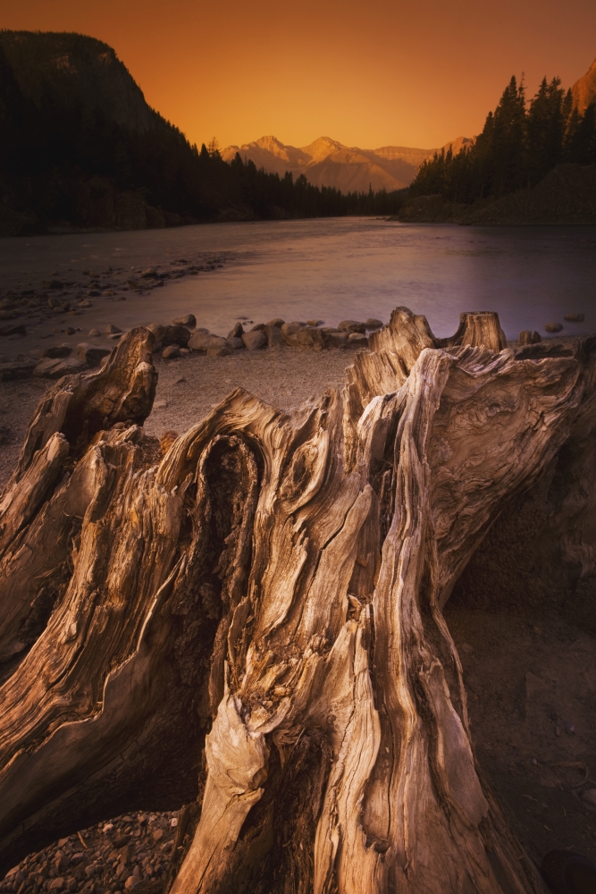 DPI1874342LARGE Banff, Alberta, Canada - Driftwood & A Mountain River At Sunset Poster Print, 24 x 38 - Large