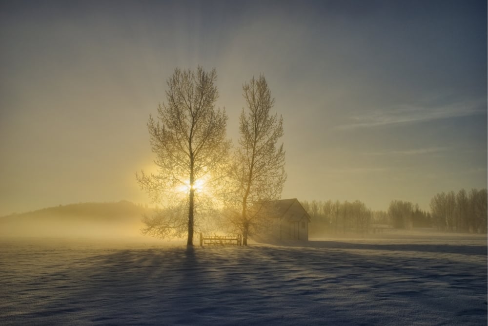 DPI1875654LARGE Calgary, Alberta, Canada - A Small Pioneer School In A Misty Winter Sunrise Poster Print, 36 x 24 - Large