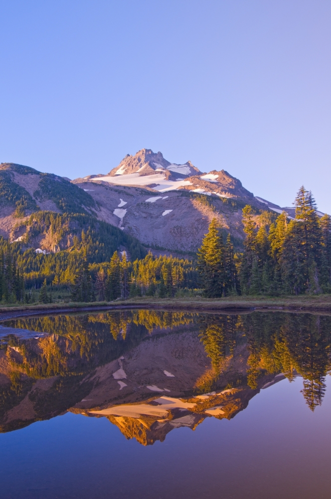 Oregon - United States of America - Mt. Jefferson Reflected In A Lake In Jefferson Park Poster Print - 12 x 18 -  BrainBoosters, BR3175591