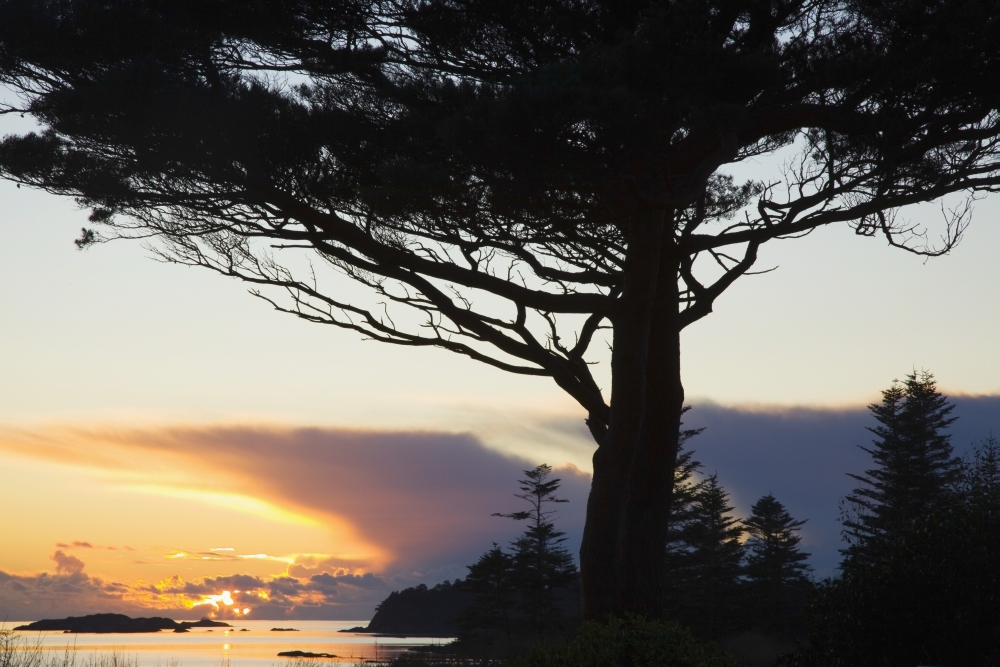 DPI1876023LARGE Parknasilla, County Kerry, Ireland - A Sunset Over Kenmare Bay Poster Print, 36 x 24 - Large
