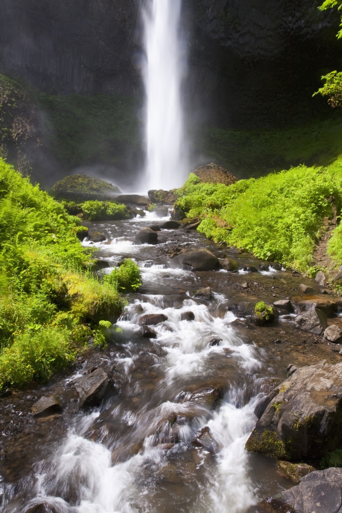 DPI1876697LARGE Oregon, United States of America - Latourell Falls In The Columbia River Gorge National Scenic Area Poster Print, 24 x 38 - Large