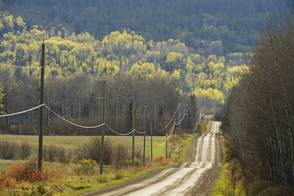 DPI1877060LARGE A Country Road with Electrical Wires Running Along It - Thunder Bay, Ontario, Canada Poster Print, 38 x 24 - Large