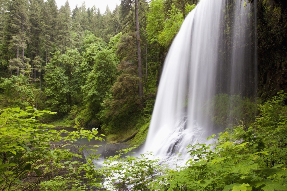 DPI1877096 North Middle Falls In Silver Falls State Park - Oregon, USA Poster Print, 19 x 12
