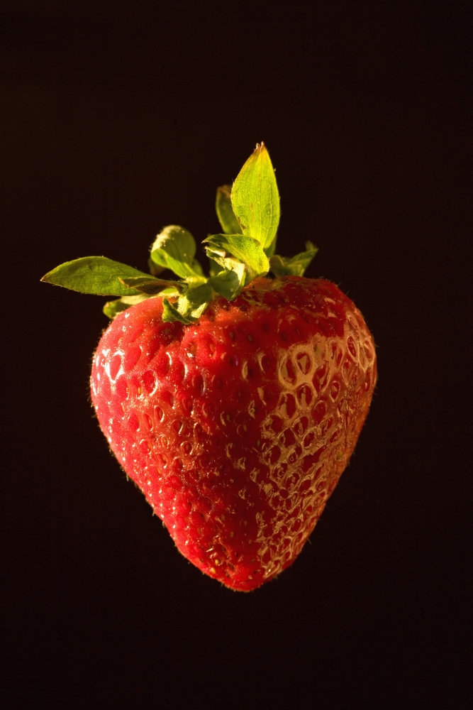A Strawberry Poster Print, 24 x 38 - Large