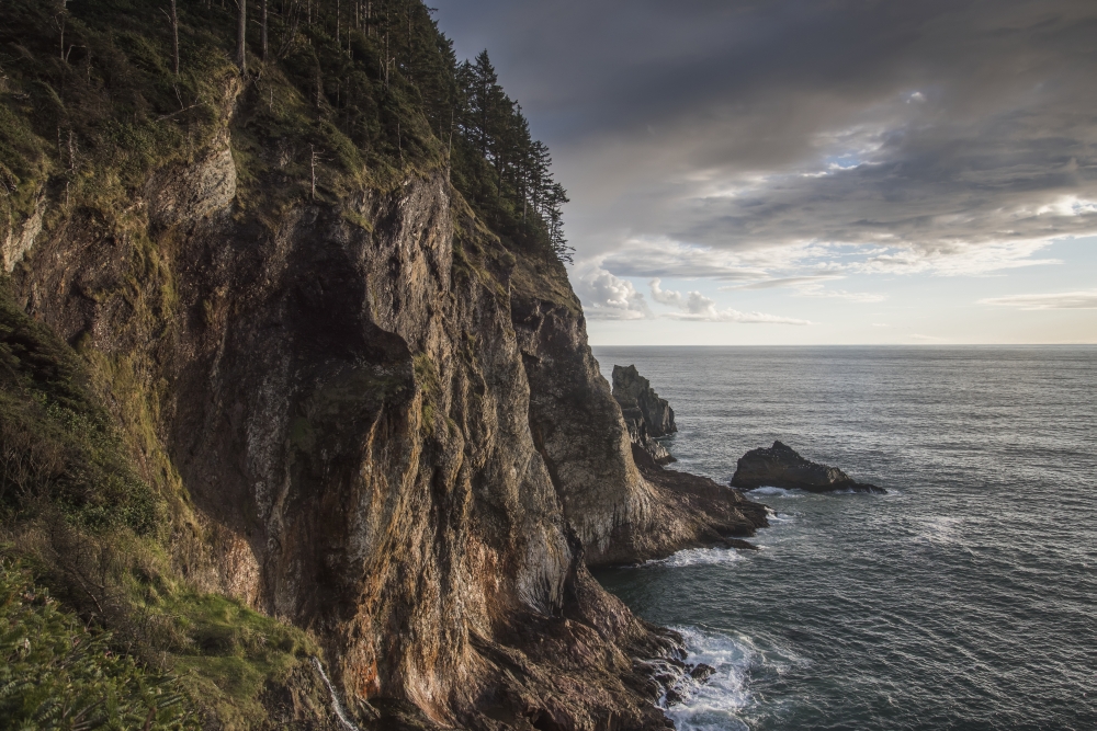 DPI12277088 Some Spectacular Coastline is Found at Oswald West State Park - Manzanita Oregon United States of America Poster Print - 19 x 12 in.