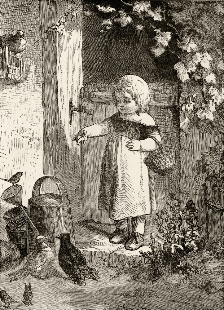 Example of 19th Century Childrens Book Illustration Little Girl with Insect On Her Hand In Farmyard Setting From Pict 2 Poster Print - 24 x 34 - Large