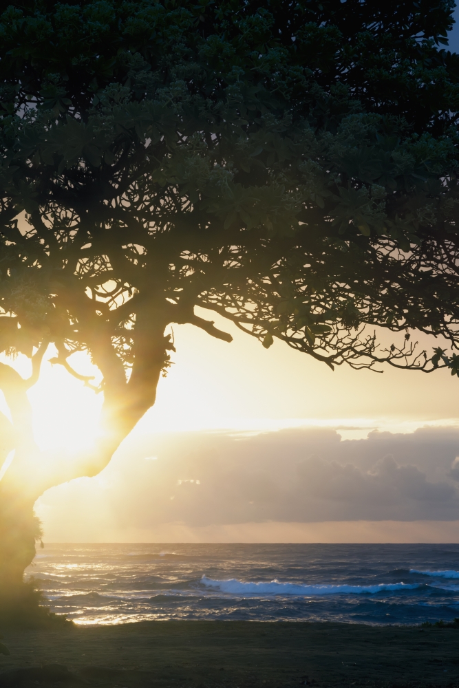 Sunrise Seen From Lydgate Beach Park - Lydgate Kauai Hawaii United States of America Poster Print - 12 x 19 in.