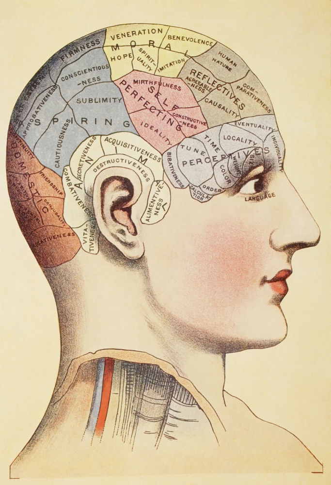 A Phrenological Map of The Human Brain From Virtues Household Physician Published London 1924 Poster Print, 12 x 17