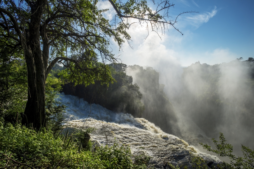 Victoria Falls - Zimbabwe Poster Print