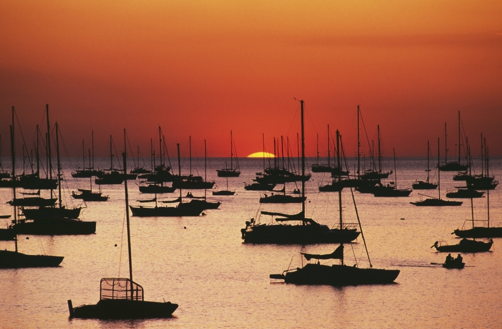 Silhouetted Sailboats In Darwin Harbor Poster Print