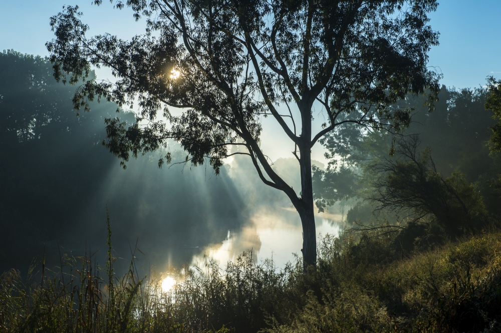 River at Sunset - South Africa Poster Print