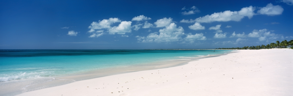 Empty White Sand Tropical Beach Poster Print, 44 x 14 - Large