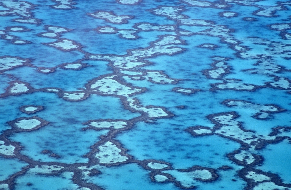 Great Barrier Reef - Aerial View Poster Print