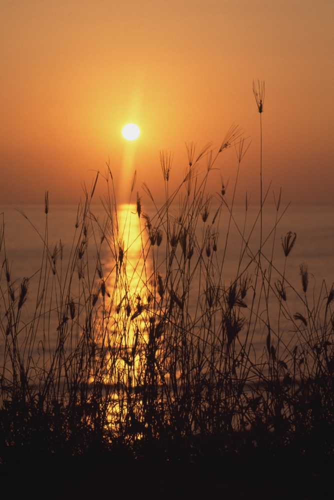 Sunset Over Pacific Poster Print - 12 x 18