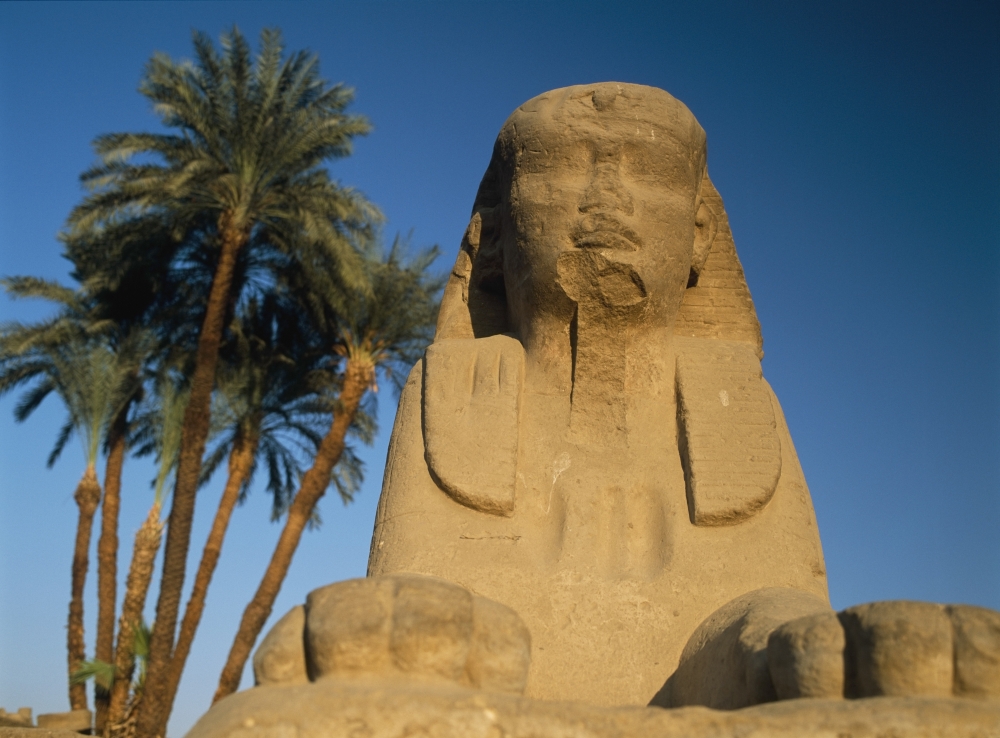 Sphinx Statue In Front of Date Palms Poster Print - 18 x 13