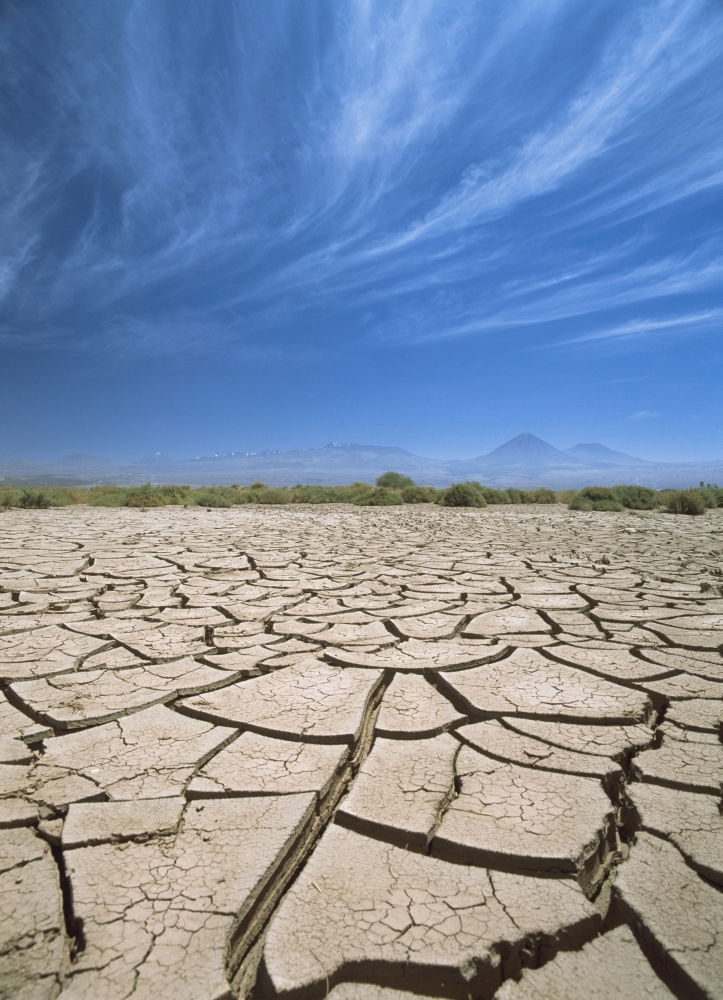 Cracked Lake Bed Poster Print - 13 x 18