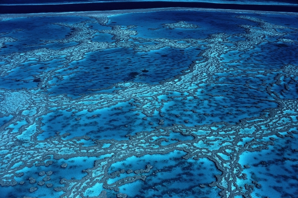 The Great Barrier Reef, High Angle View Poster Print, 34 x 22 - Large