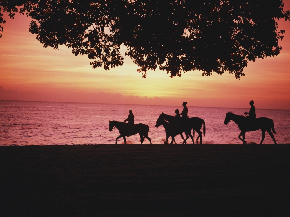 Riding Horses On The Beach At Sunset Poster Print - 16 x 12