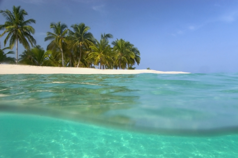 DPI1880179LARGE Looking Ashore to Cayo Levantado As Viewed Half Underwater Poster Print, 34 x 22 - Large