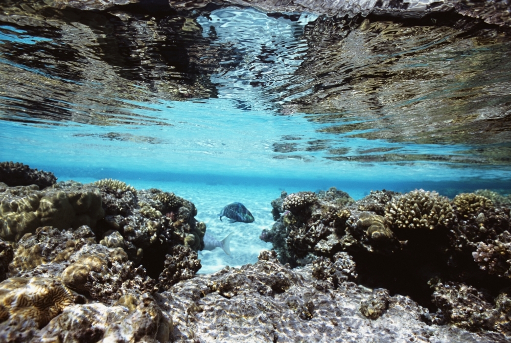 Sandy Lagoon & Reef Reflected In Calm Sea Poster Print - 17 x 11
