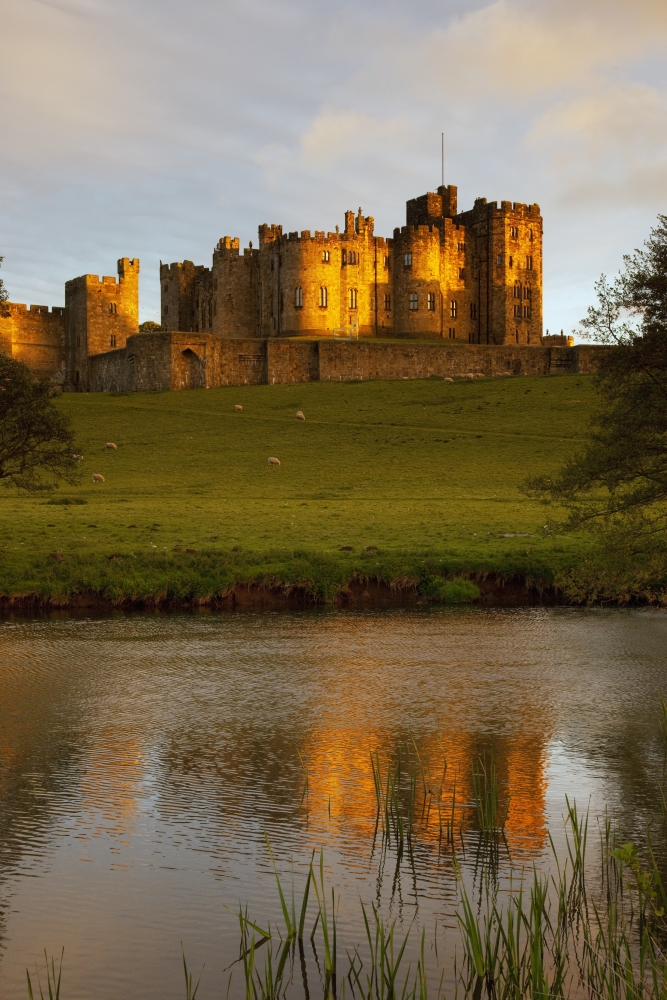 Picture of Posterazzi DPI1880702 Alnwick Castle - Alnwick, Northumberland, England Poster Print, 12 x 19