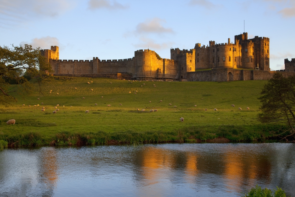 Picture of Posterazzi DPI1880700 Alnwick Castle - Alnwick, Northumberland, England Poster Print, 19 x 12