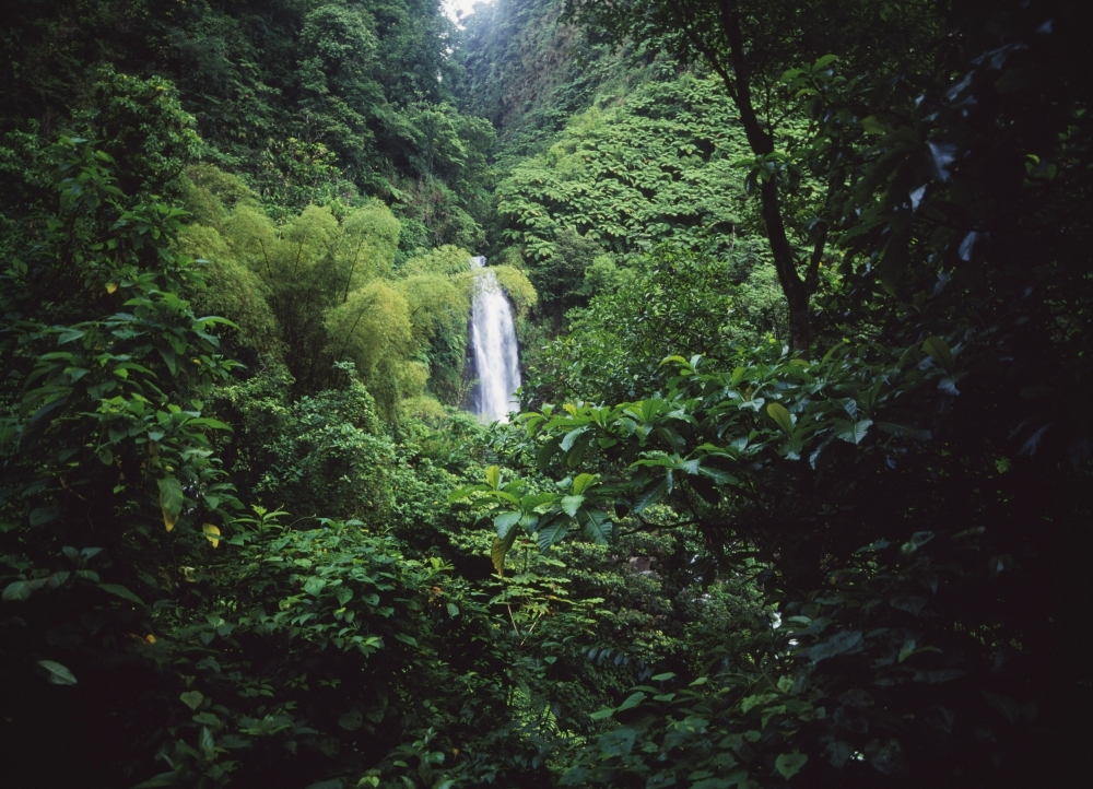 Trafalgar Falls Poster Print - 36 x 26 - Large