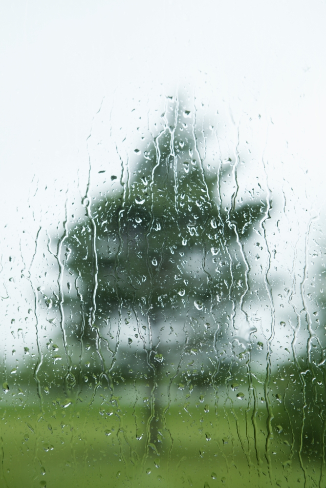 Raindrops On The Window with A Tree Outside - Thunder Bay, Ontario, Canada Poster Print, 26 x 38 - Large