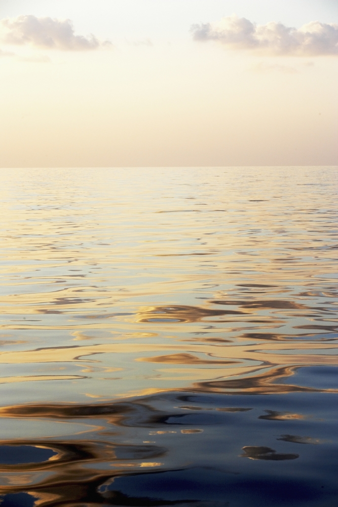 Calm Sea Surface with Sunset - Low Angle View Poster Print