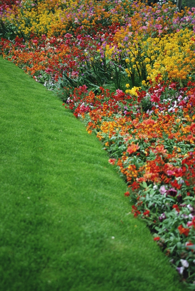 Colorful Flowers & Grass In Paris - Close-Up Poster Print