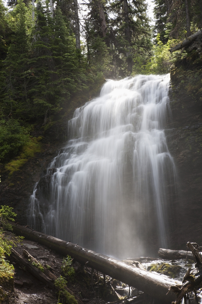 DPI1883429 Waterfalls Flowing Down A Rock Cliff - Waterton, Alberta, Canada Poster Print, 12 x 19