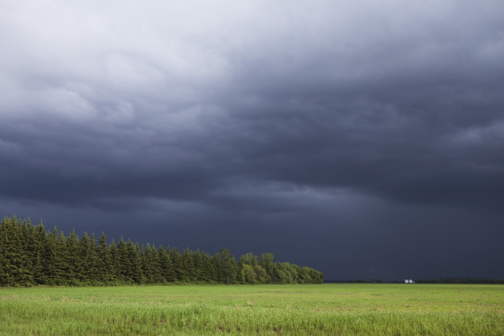 DPI1884058LARGE Storm Clouds Over The Prairies - Winnipeg, Manitoba, Canada Poster Print, 38 x 26 - Large