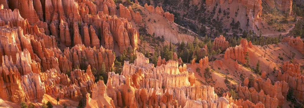 Orange Rock Formations & Trees At Bryce Canyon Poster Print - 25 x 9