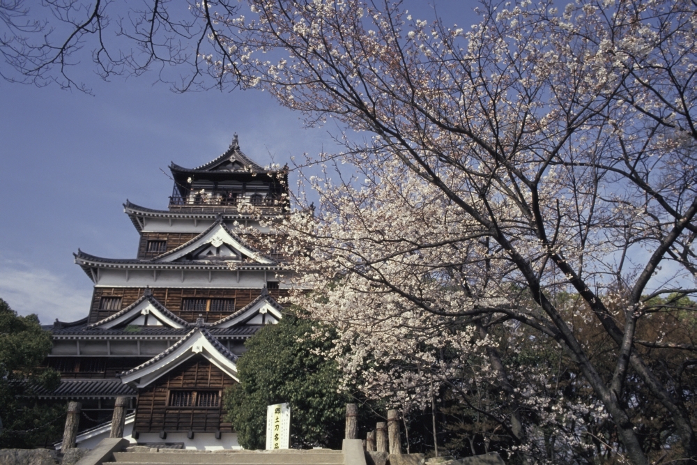 Hiroshima Castle & Cherry Blossoms In Spring Poster Print - 38 x 24 - Large
