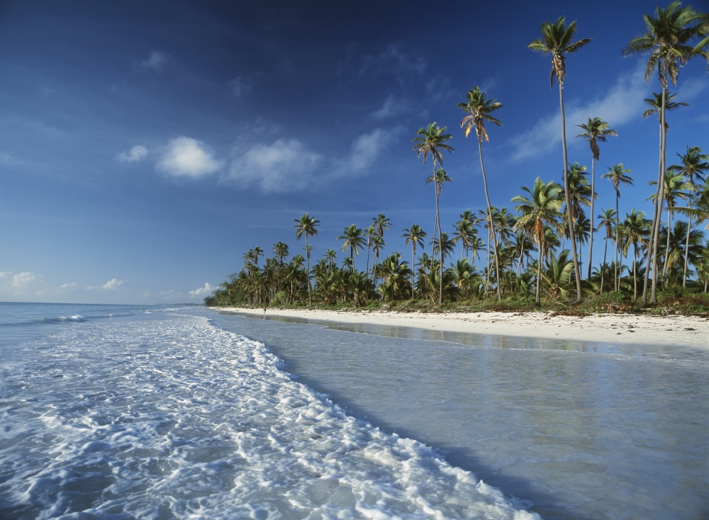 Waves Lapping Shore of Beach with Palm Trees Behind Poster Print - 18 x 13