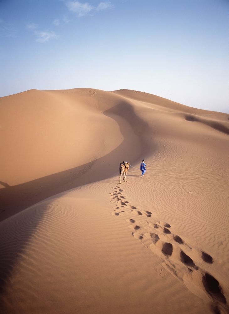 Blue Man - Historically A Tribe of Sahara Traders - Leading Camel Through The Dunes At Dawn Poster Print - 24 x 32 - Large