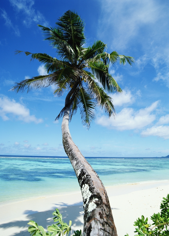 Anse Sourse Dargent Poster Print - 26 x 36 - Large
