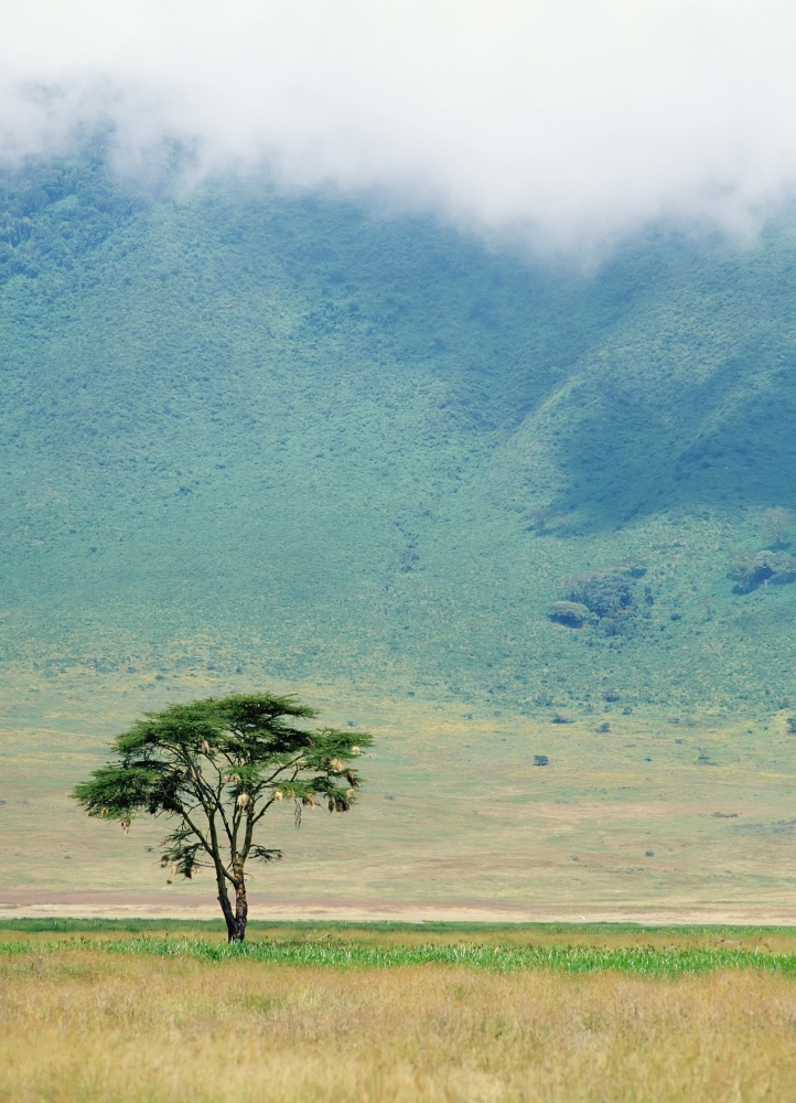 Ngorongoro Crater Poster Print - 13 x 18