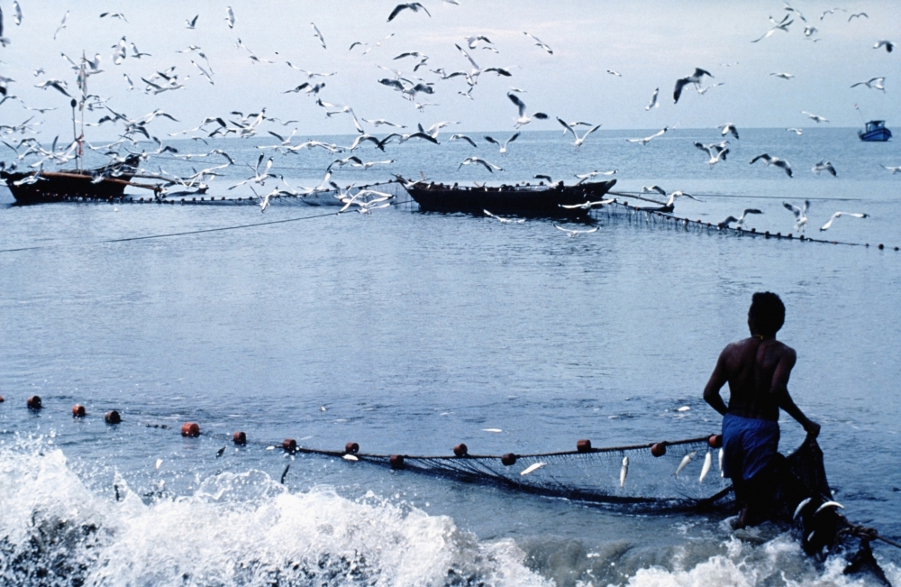Fisherman Collecting Nets On Beach Poster Print - 17 x 11