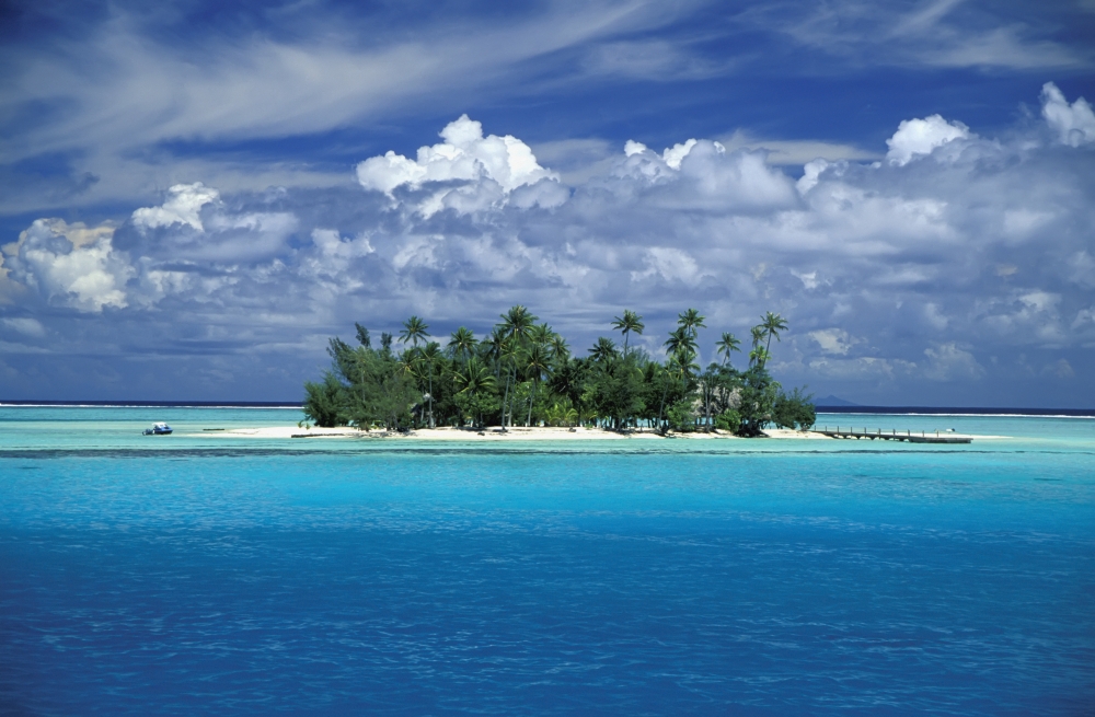 Small Palm Tree Covered Tropical Island Poster Print, 19 x 12