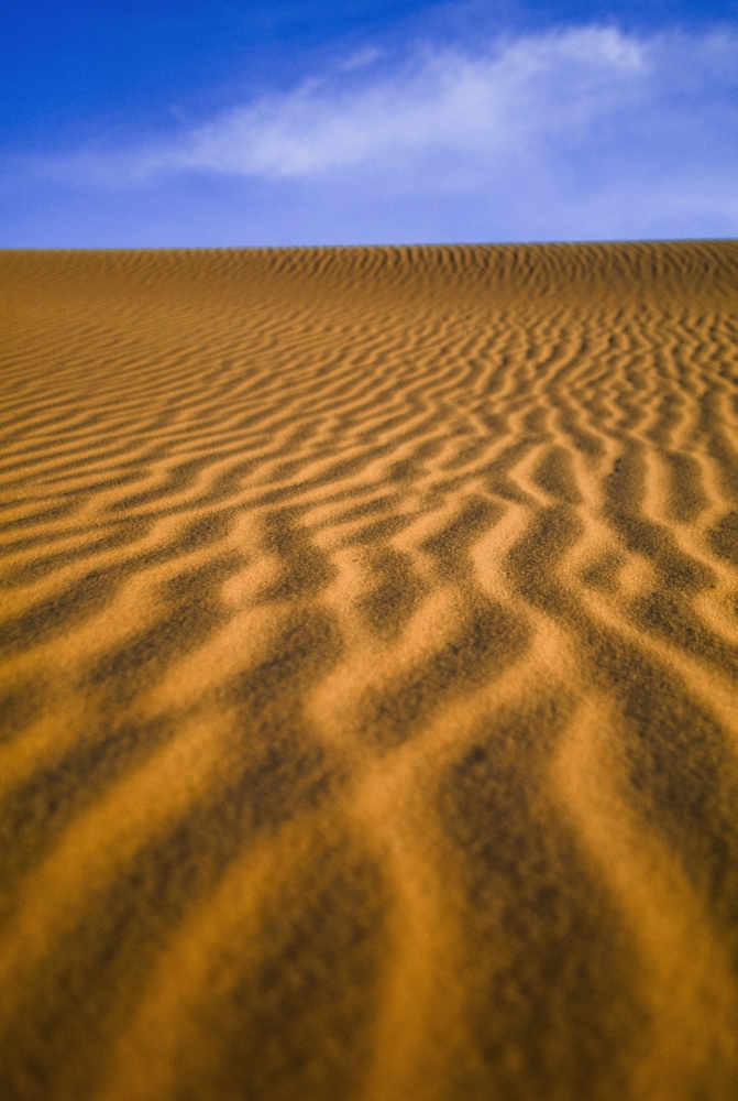 Desert Poster Print - 12 x 18