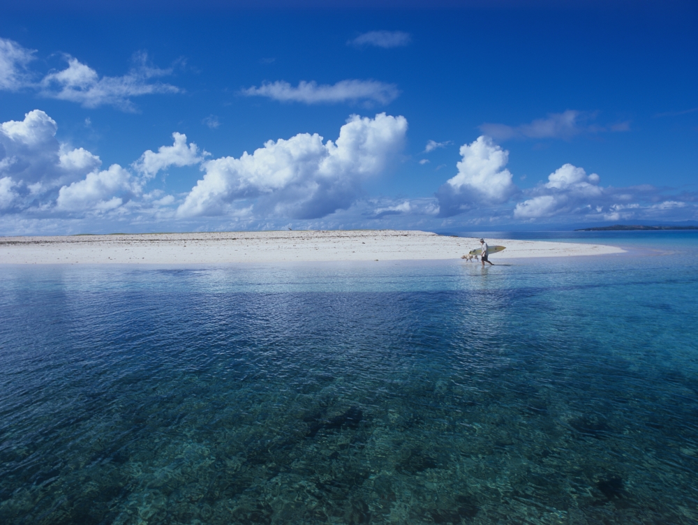 Surfer Walking with Dog On Tropical Island Poster Print - 17 x 13