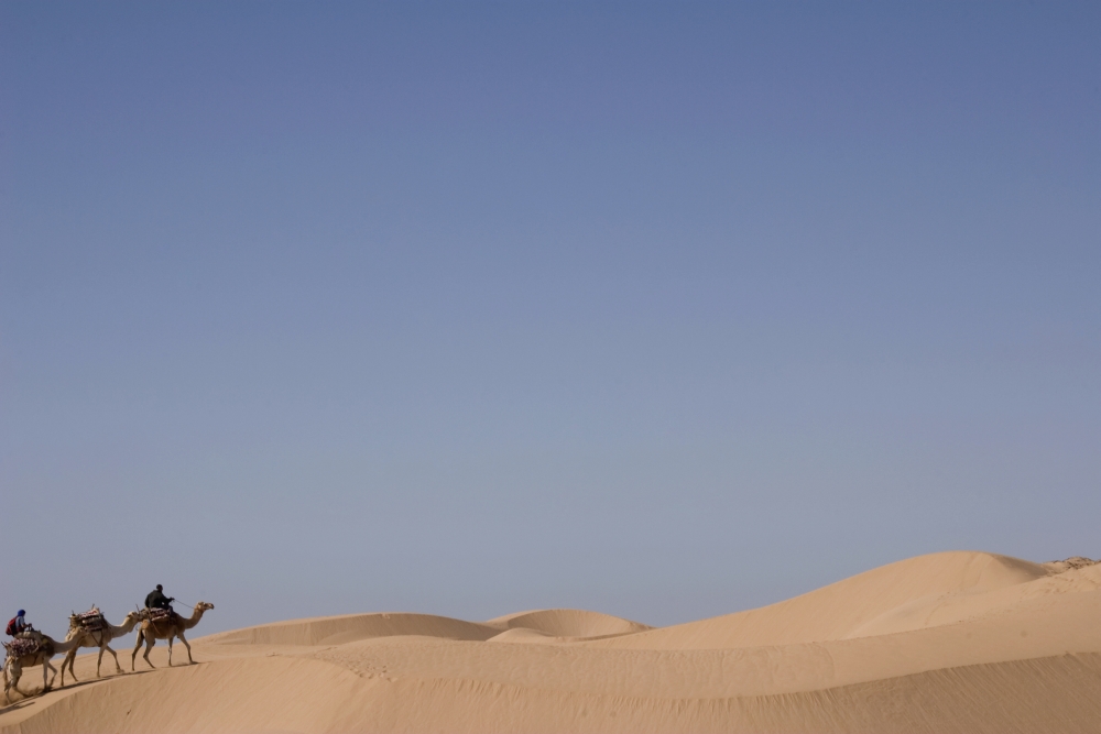 Camel Trek On Sand Dunes Poster Print - 19 x 12