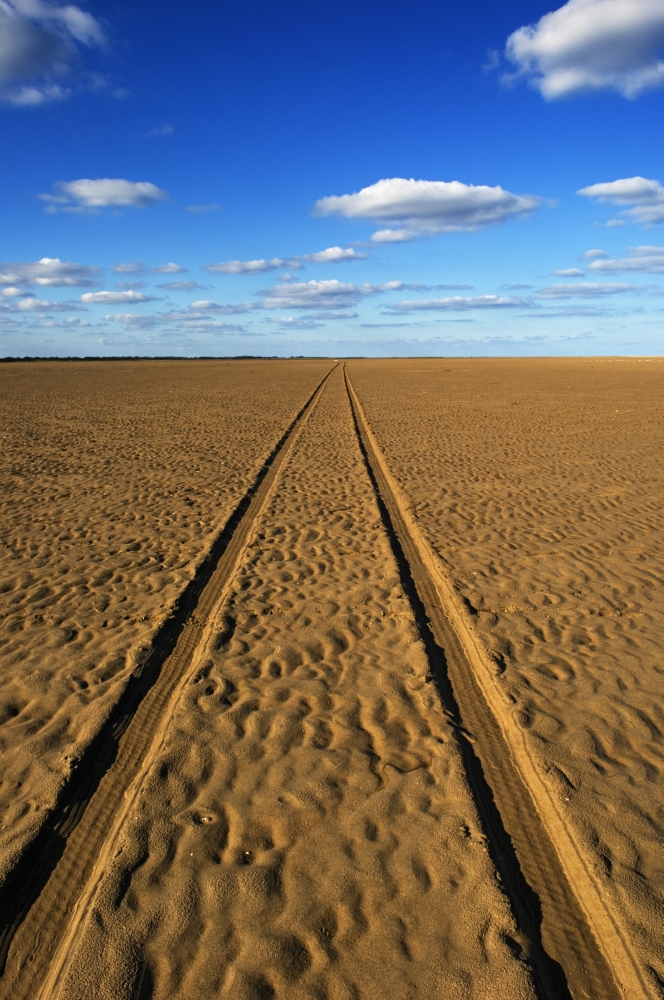 Car Tracks On A Deserted Sandy Beach Poster Print 12 x 19