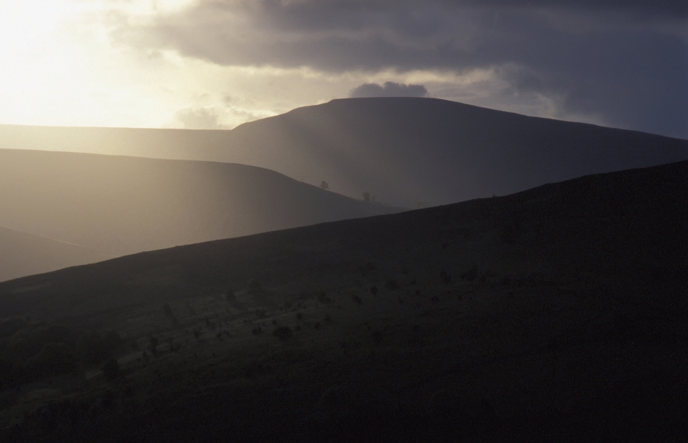 Landscape Poster Print, 38 x 24 - Large
